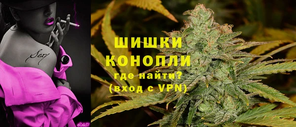 дживик Белокуриха
