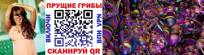 Псилоцибиновые грибы мицелий Комсомольск